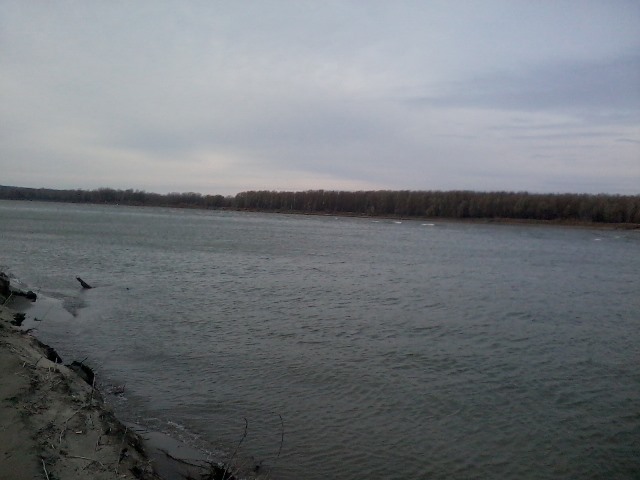 Прикрепленное изображение