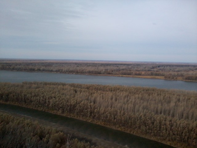 Прикрепленное изображение