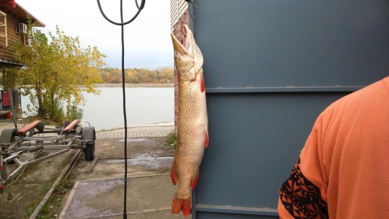 Прикрепленное изображение