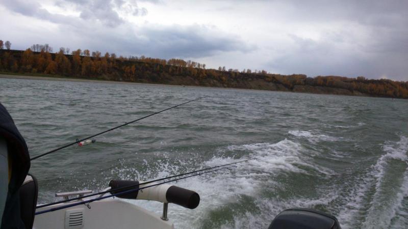 Прикрепленное изображение