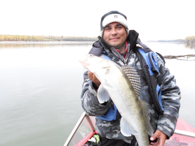 Прикрепленное изображение