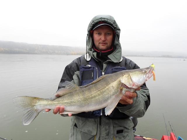 Прикрепленное изображение