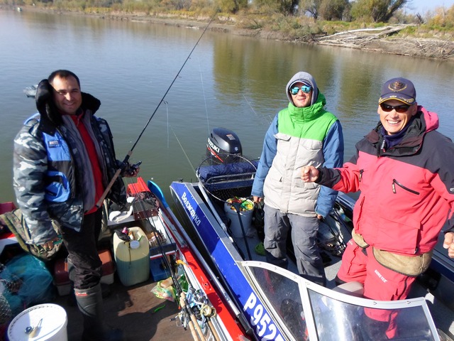 Прикрепленное изображение