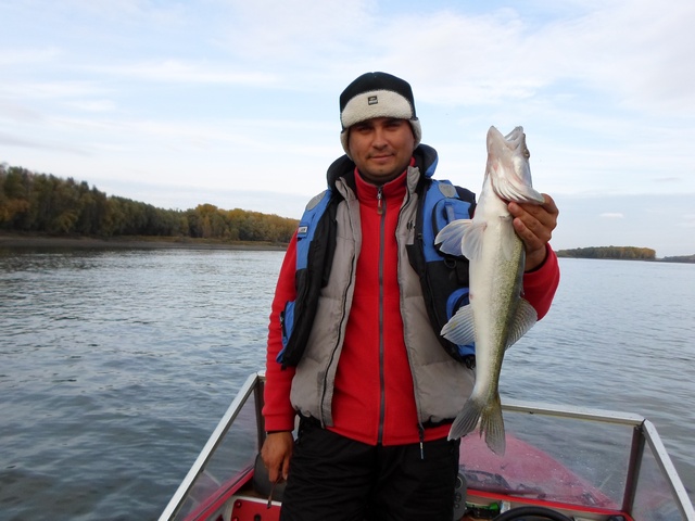 Прикрепленное изображение