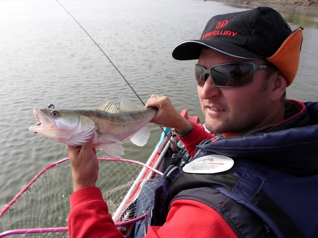 Прикрепленное изображение