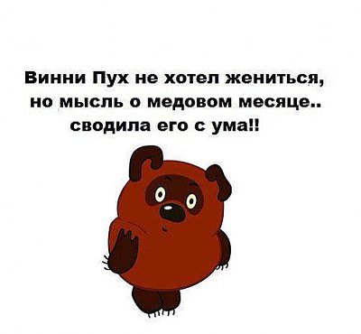 вини.jpg