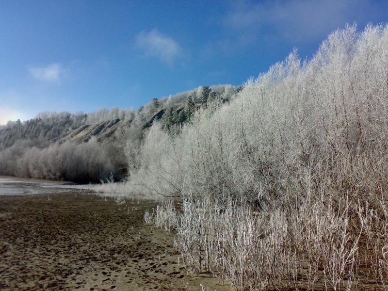 101120131004.jpg
