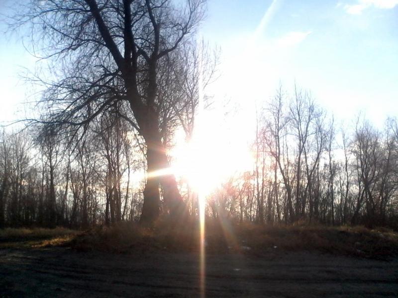 IMG_20141023_091339.jpg