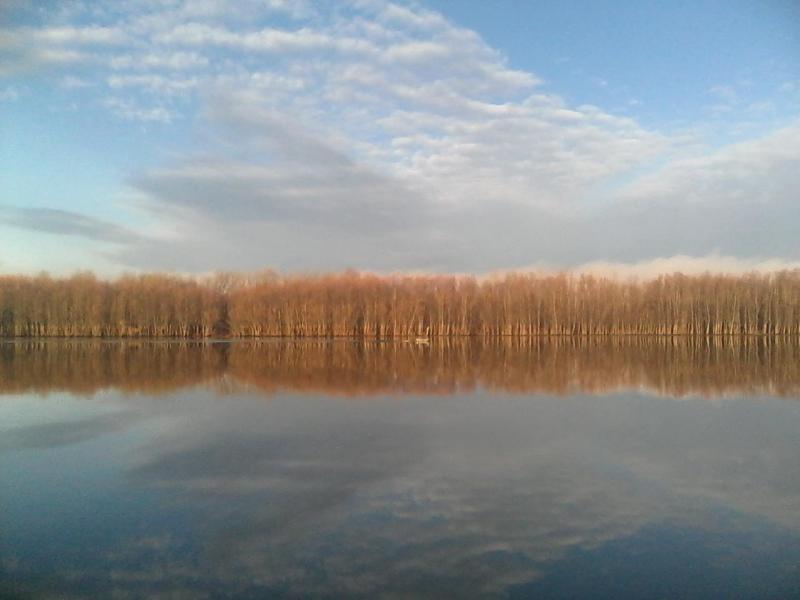 IMG_20141023_091346.jpg