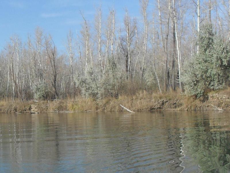 SDC11849.JPG