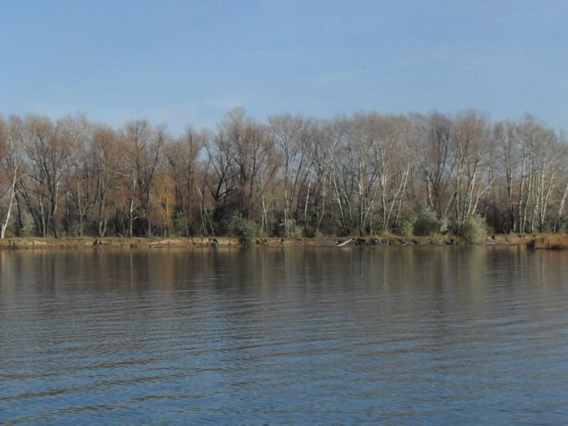 SDC11848.JPG