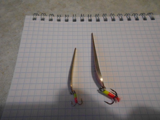 DSCN5208.JPG