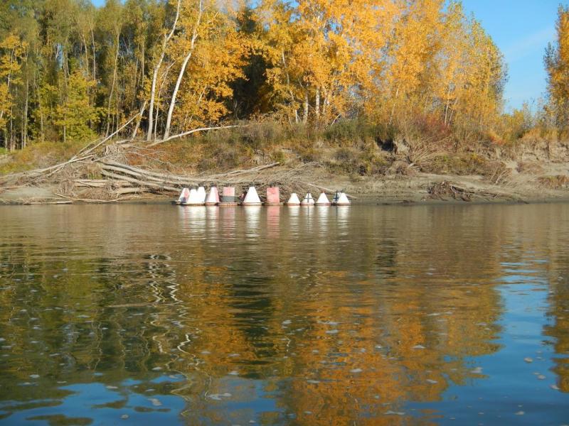 DSCN1229.JPG