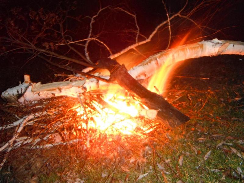 DSCF3516.JPG