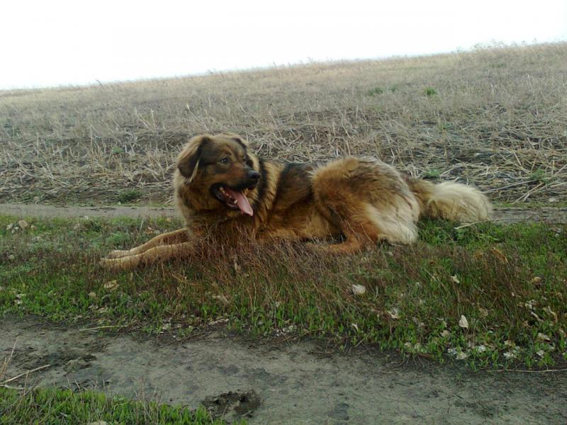 Слайд0455.jpg
