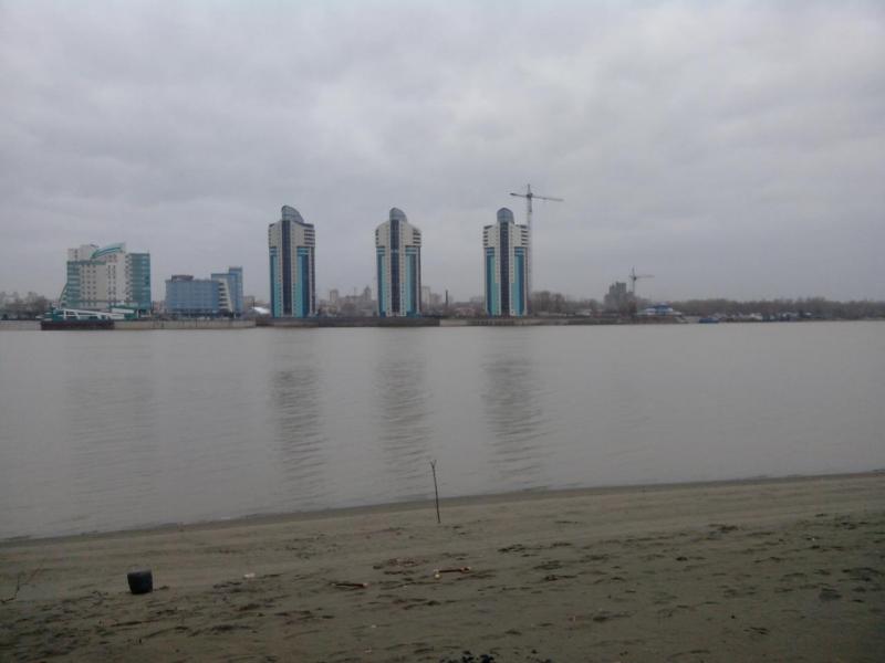 IMG_20141025_124829.jpg