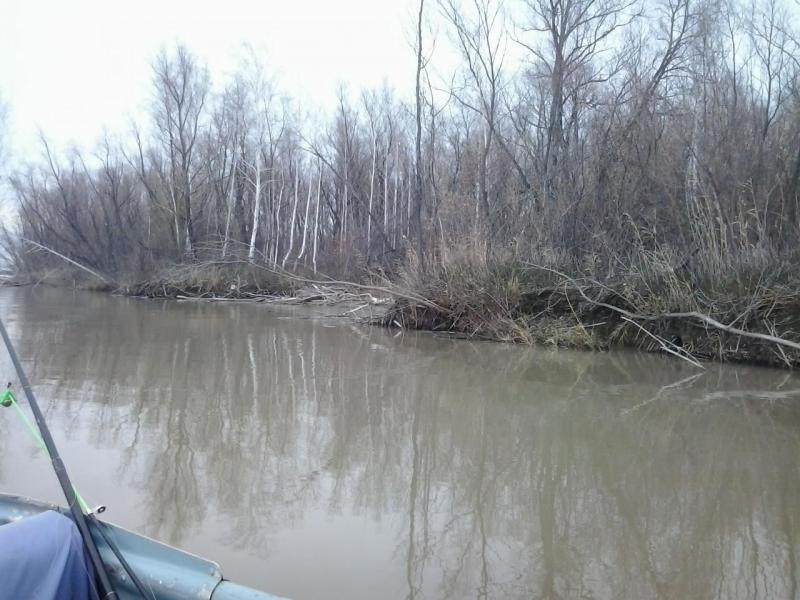 2014-10-23 16.43.05.jpg