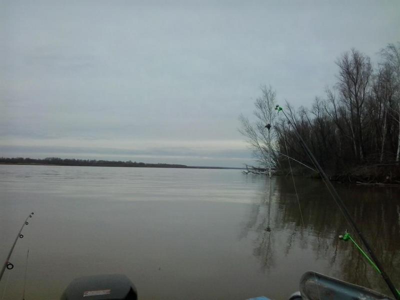 2014-10-23 16.42.59.jpg