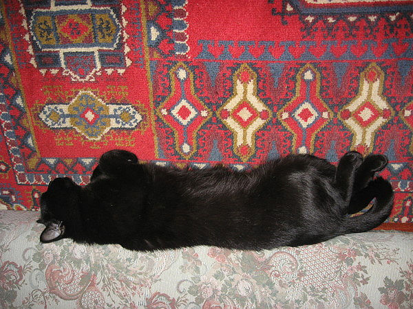 1235.jpg