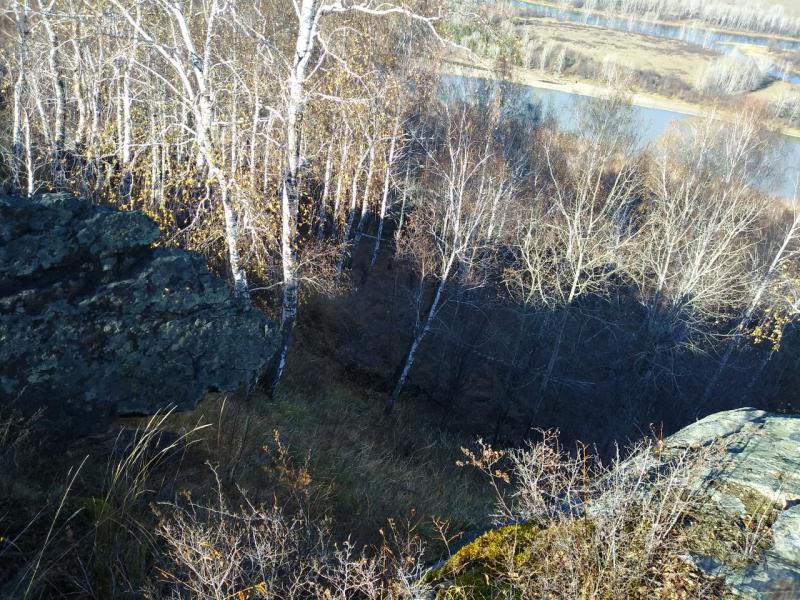 Прикрепленное изображение