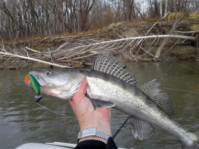 Прикрепленное изображение