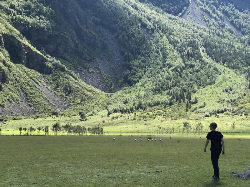 Прикрепленное изображение