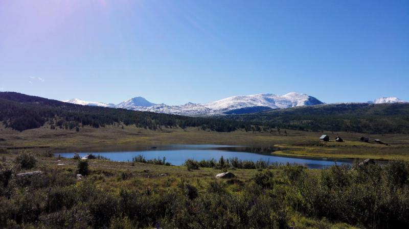 Прикрепленное изображение