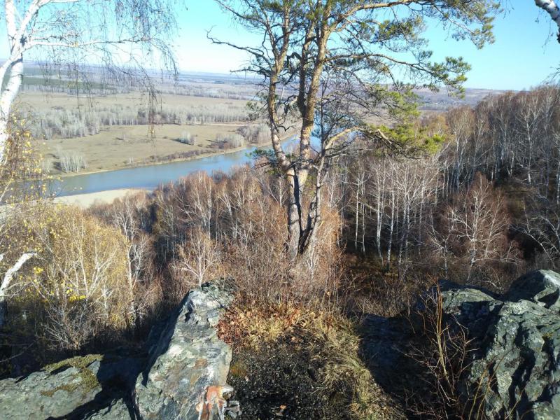 Прикрепленное изображение