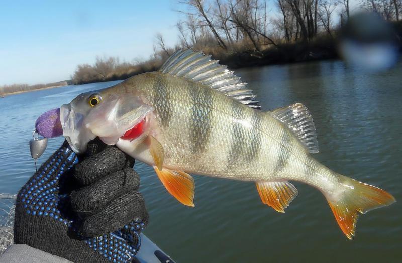 Прикрепленное изображение