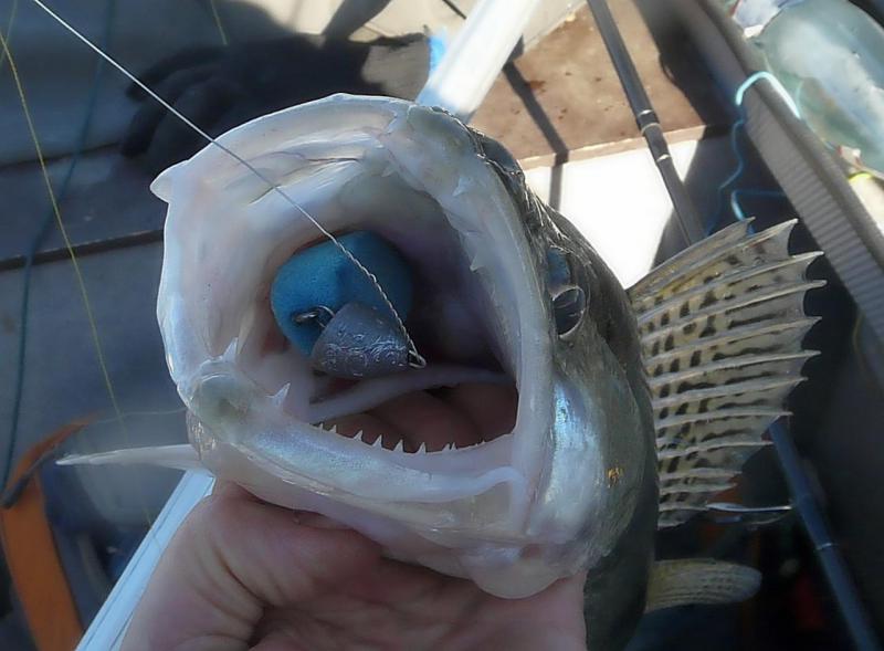 Прикрепленное изображение