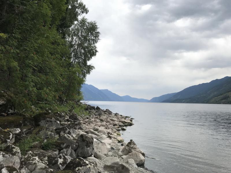 Прикрепленное изображение