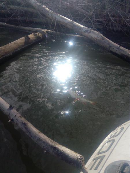 Прикрепленное изображение: IMG_20181017_131536.jpg