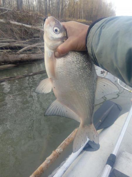 Прикрепленное изображение: IMG_20181017_140635.jpg