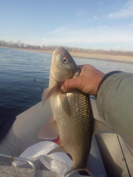 Прикрепленное изображение: IMG_20181017_145756.jpg