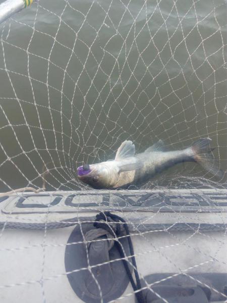 Прикрепленное изображение: IMG_20181017_093927.jpg