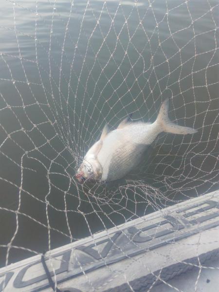 Прикрепленное изображение: IMG_20181017_151202.jpg