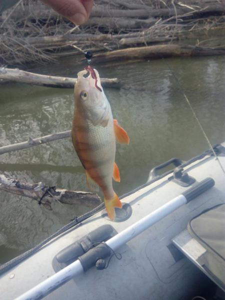 Прикрепленное изображение: IMG_20181017_131355.jpg