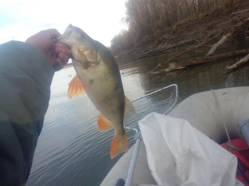 Прикрепленное изображение: IMG_20181017_163748.jpg