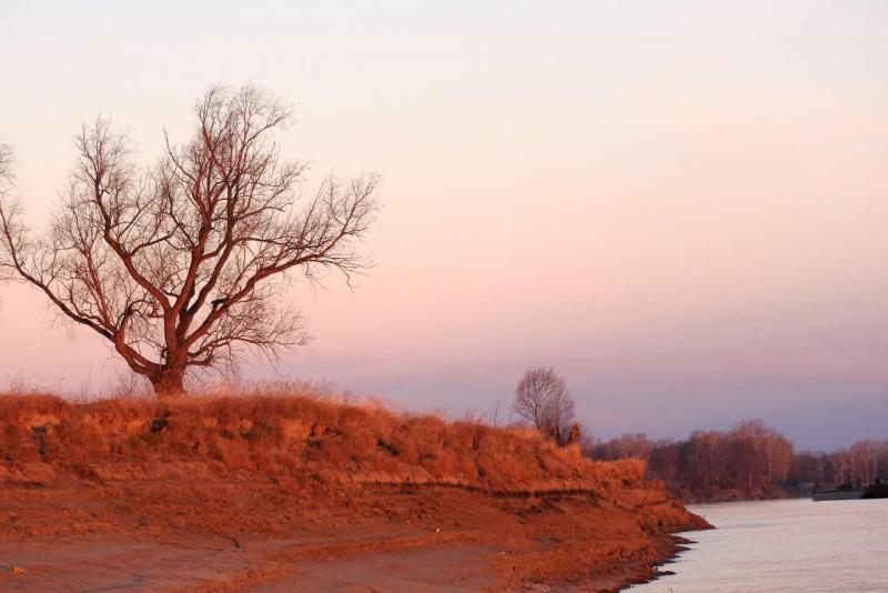 оранжевый рассвет.jpg