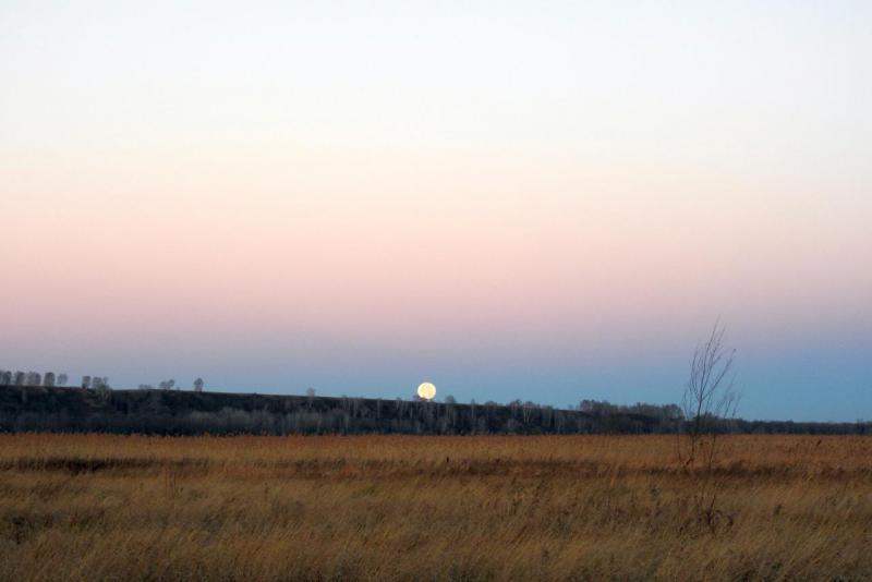 луна на рассвете.jpg
