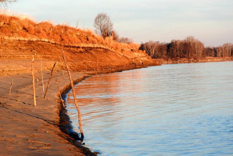 берег в тычках.jpg