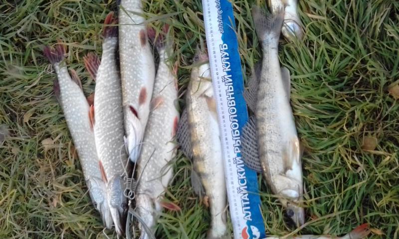 20181007_175024.jpg
