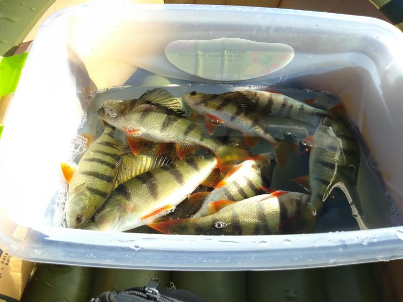 P_20181006_120146_SRES.jpg