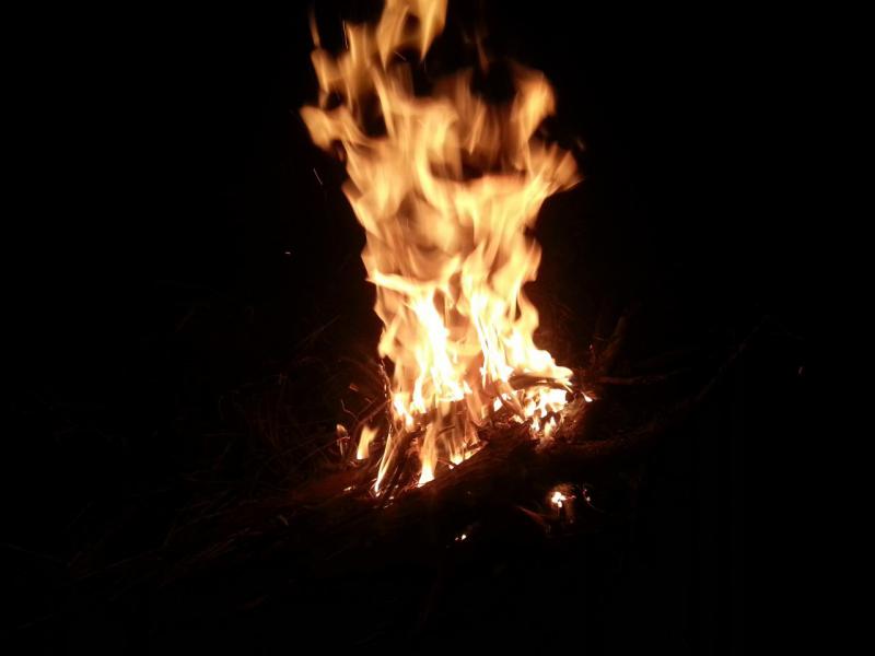 Файл 00514.jpg