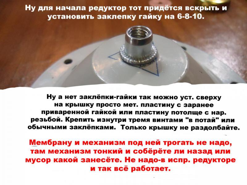 011_07-59-37.JPG