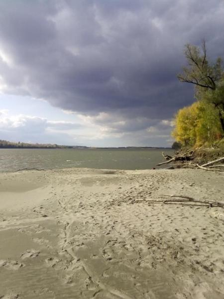 Прикрепленное изображение