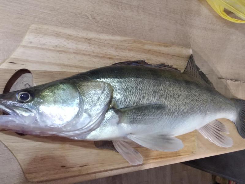 Прикрепленное изображение: IMG_20191023_174348.jpg