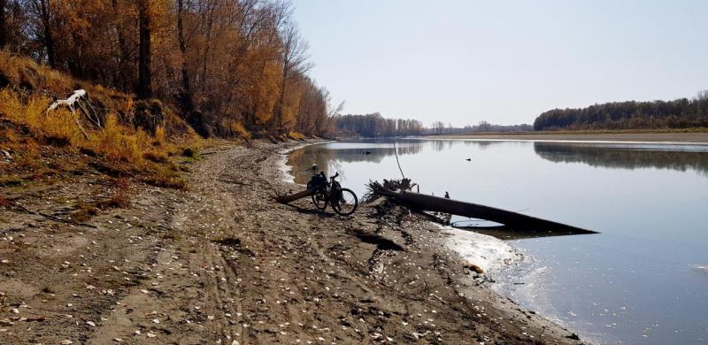 Прикрепленное изображение
