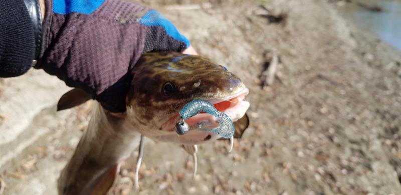 Прикрепленное изображение