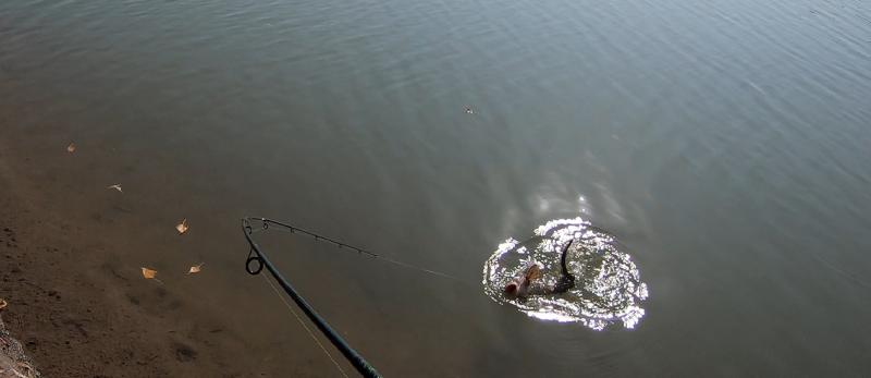 Прикрепленное изображение